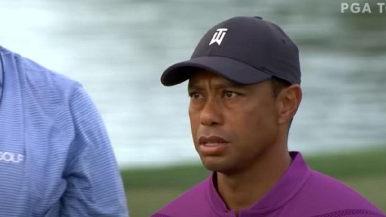 Tiger Woods patrimonio