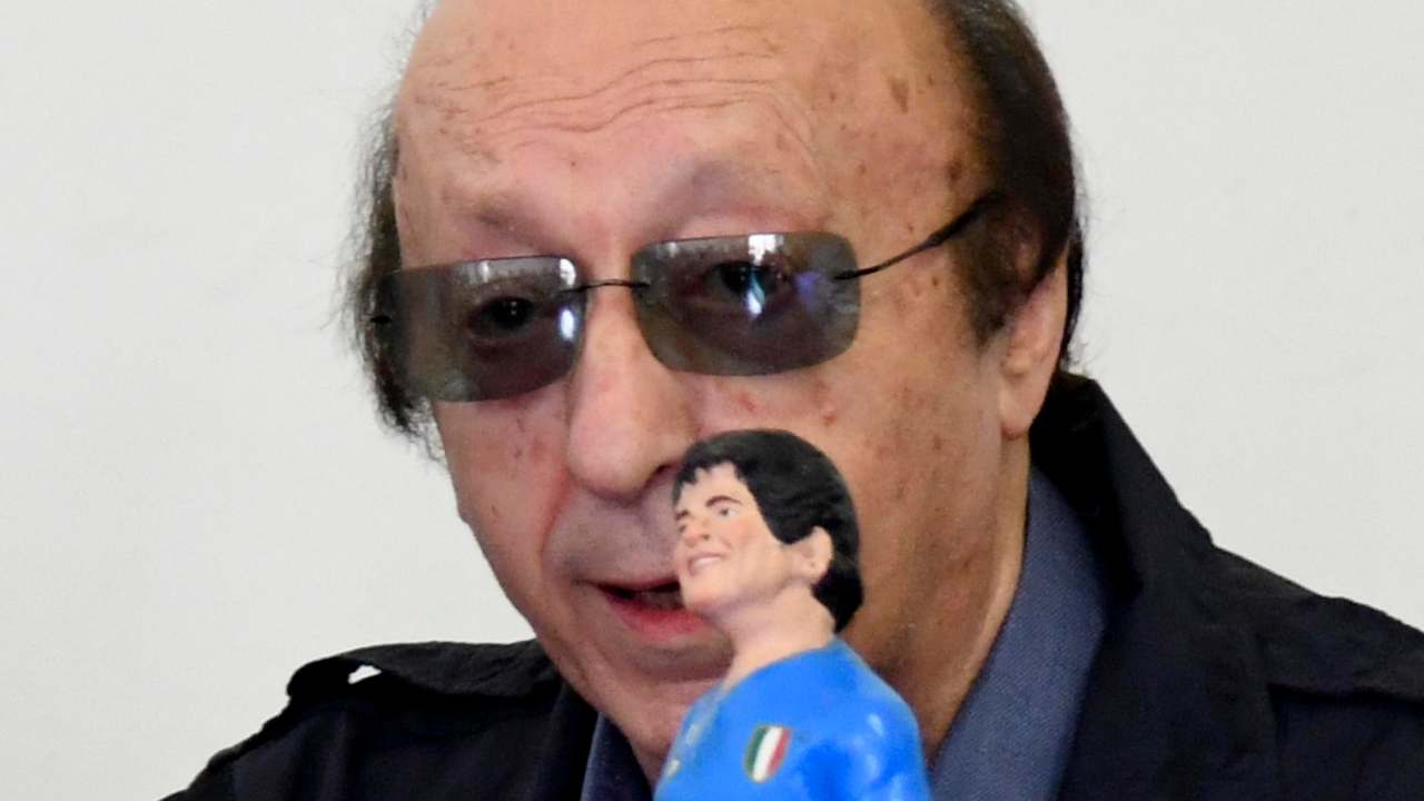 Moggi con un pupazzo