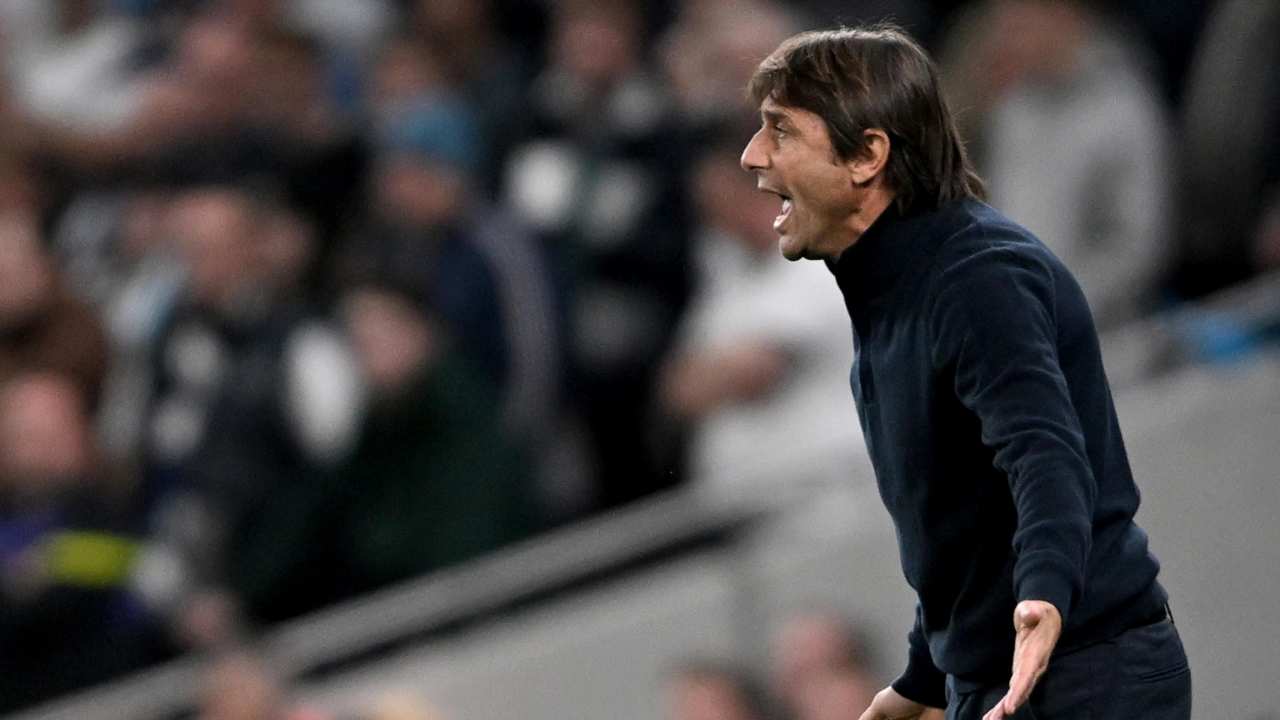 Conte